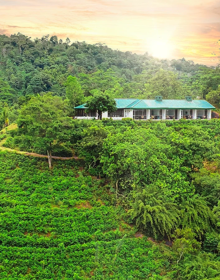 A house on a hillside with lush green trees in the background