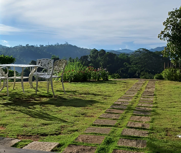  A serene stone path winding through greenery, leading to a rustic table and chairs set for outdoor dining