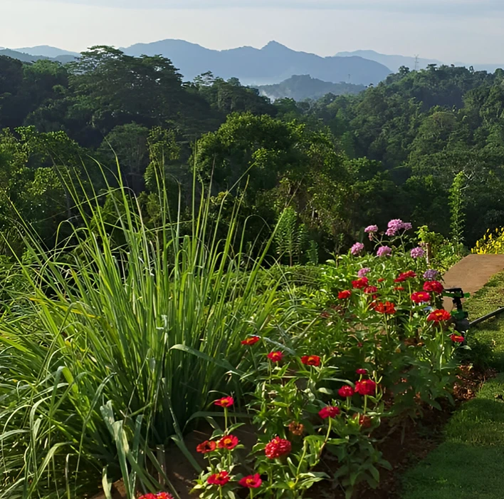 A serene garden view showcasing majestic mountains in the background, surrounded by lush greenery and vibrant flowers
